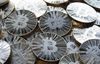 At Regulatory Hearing, Prosecutors Admit Bitcoin Is a Technological Breakthrough