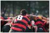 Donuts and Famous Four lose .rugby domain name match